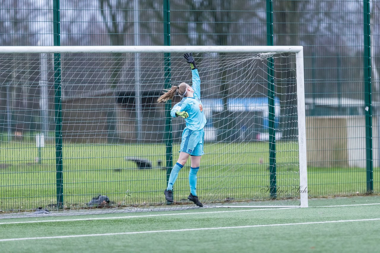 Bild 144 - wBJ HSV - F VfL Jesteburg : Ergebnis: 6:1